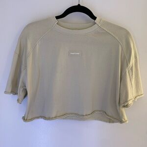 Zara Pistachio Crop Top T-Shirt